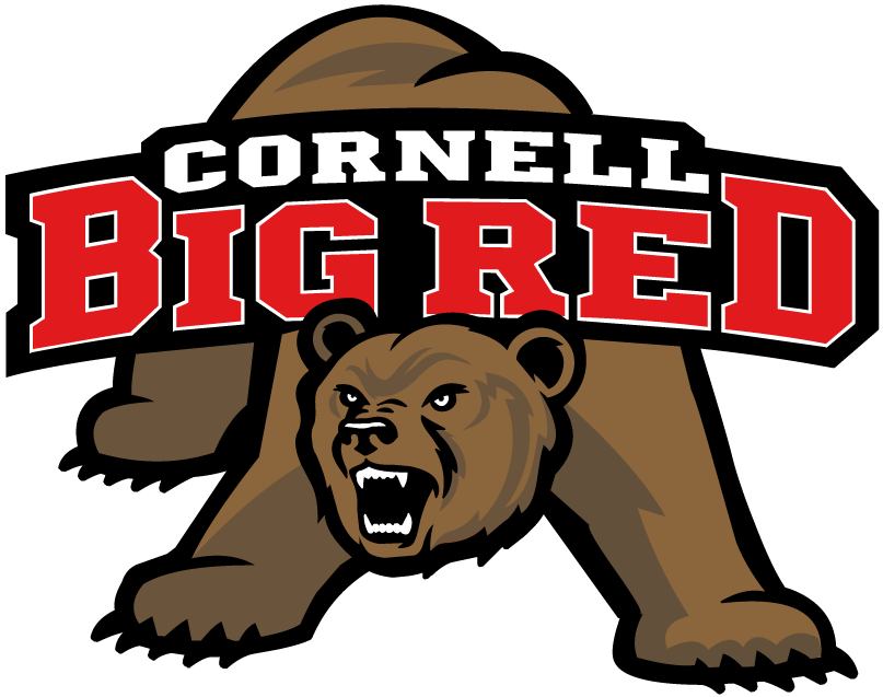 Cornell Big Red 1998-2001 Primary Logo iron on paper